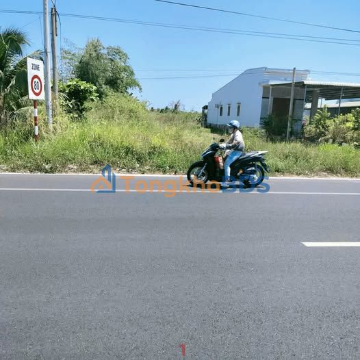 Đất nền QL1A P.5 Đà Lạt 985m²/5,2 tỷ - Sổ đỏ chính chủ