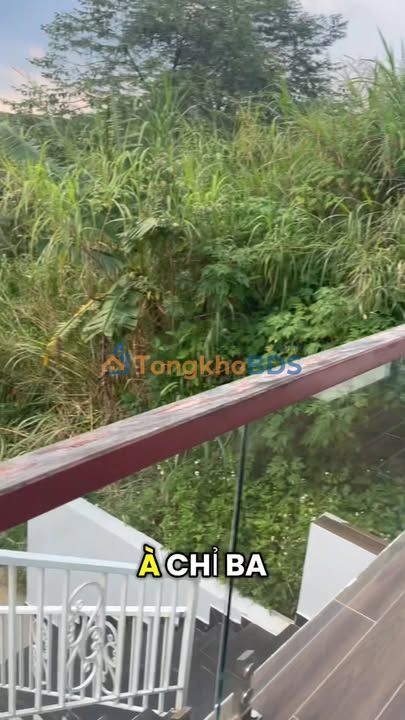 Bán Nhà Vườn Đẹp 577m² Phường 2 Bảo Lộc - Sân Vườn Chill, Ô Tô Tới Nhà