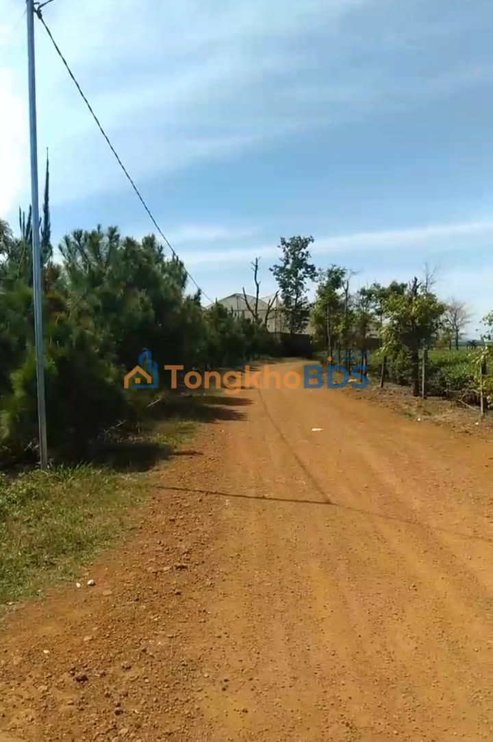 Bán 1.1ha Vườn Cà Phê Đẹp, Đam Rông, Lâm Đồng - Giá 5.5 Tỷ