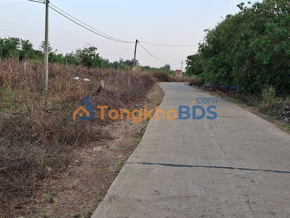 Bán Gấp Đất Nền Buôn Đôn, Đăk Lăk - 716m², Mặt Tiền Đường Thông, View Đồng Ruộng