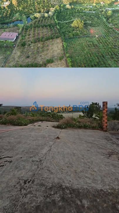 Farm Quảng Tâm Tuy Đức 2.5ha 3.7 tỷ - Sinh thái xanh