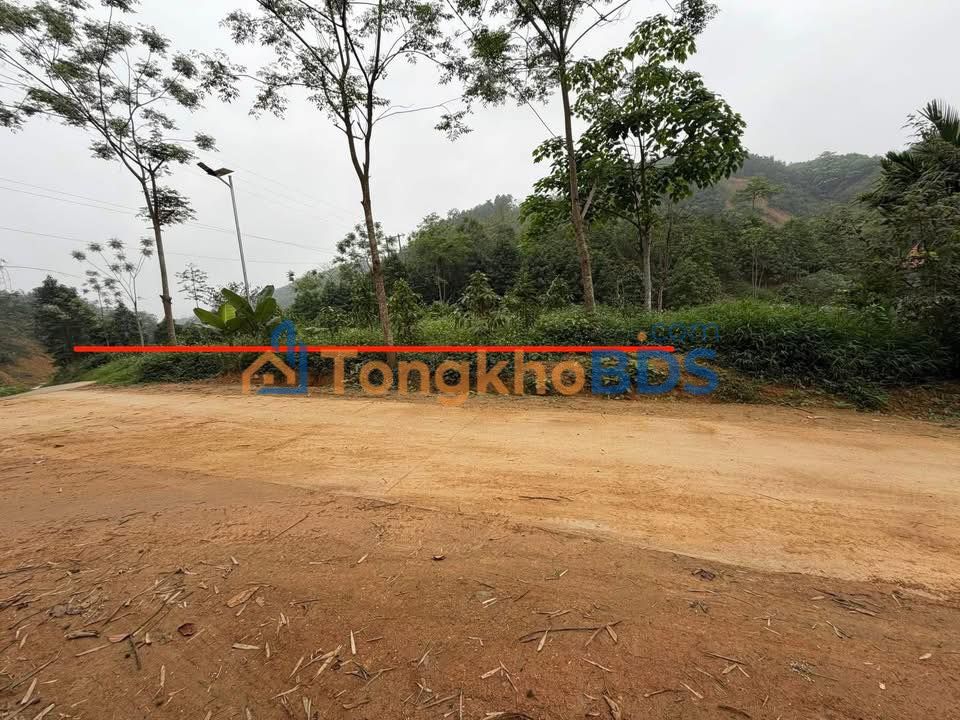 Đất nền Tân Dương Định Hóa 6000m² 1.3 tỷ - Tiềm năng tăng giá