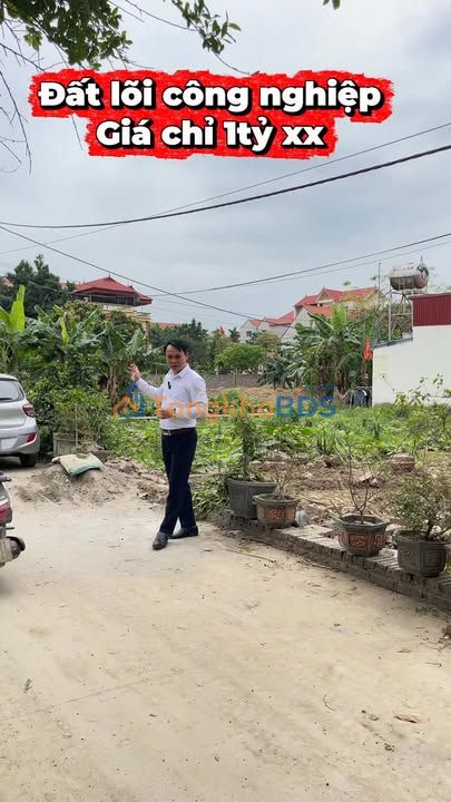 Đất nền Hiệp Hòa TL295 100m² 1 tỷ - Đường to ô tô