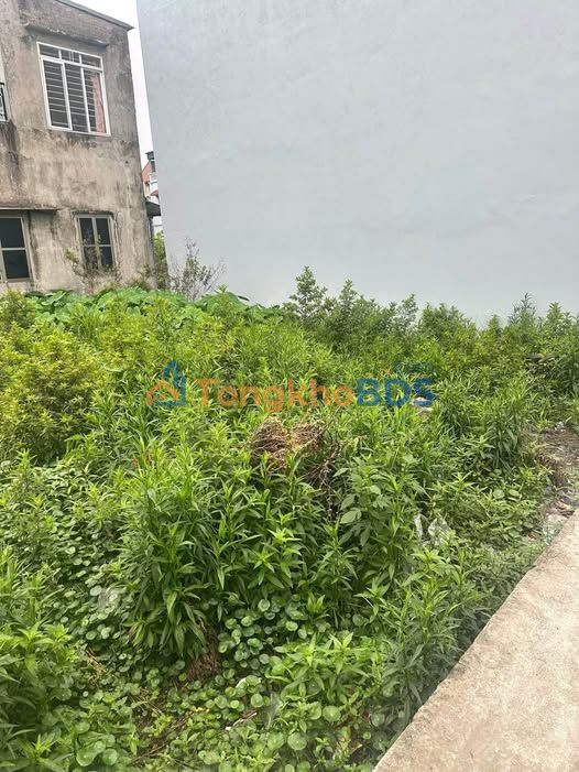 Đất nền Tả Thanh Oai 40m² - Đầu tư sinh lời 1 tỷ