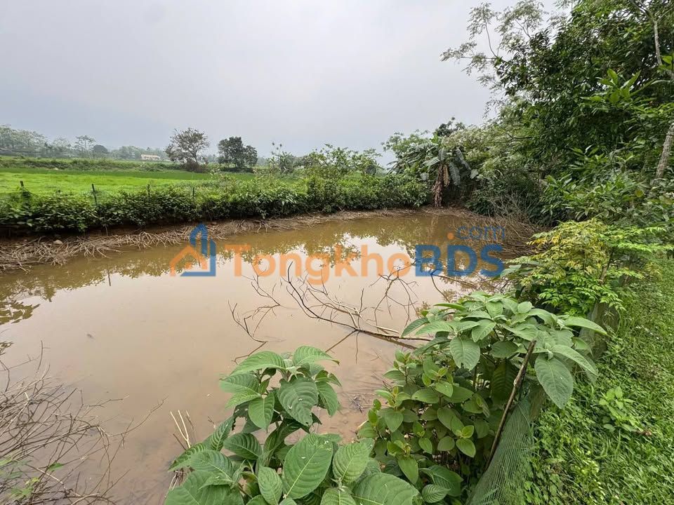 Đất vườn Mỹ Lung Yên Lập 2.000m² 900-999tr - Nghỉ dưỡng