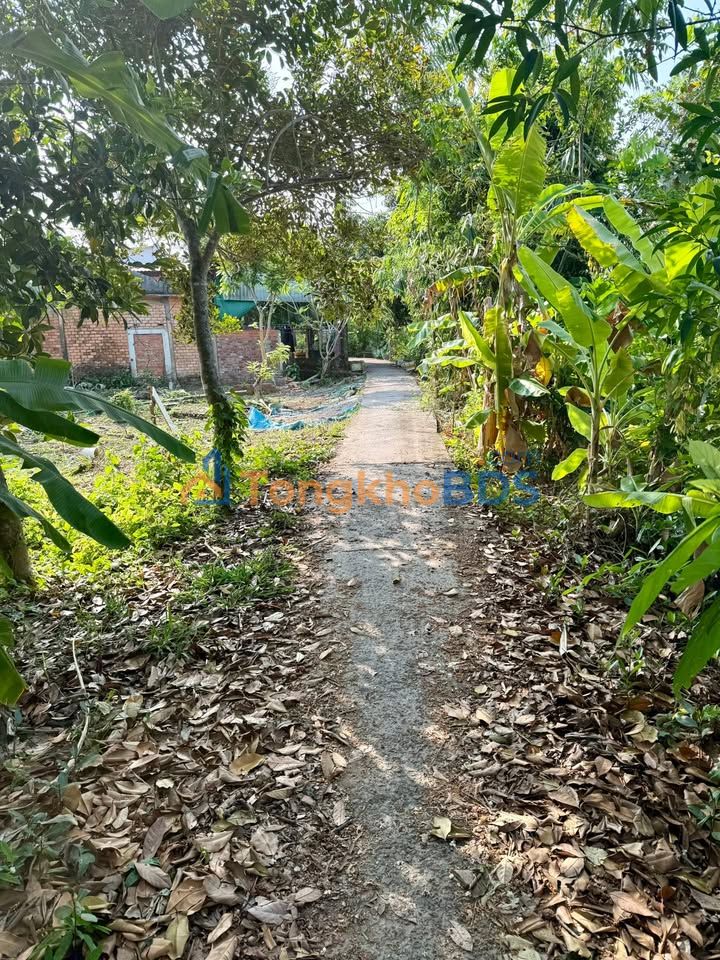 Bán Đất Nền Phường Long Châu, Vĩnh Long - 109m², Sổ Đỏ Thổ Cư, Giá Tốt