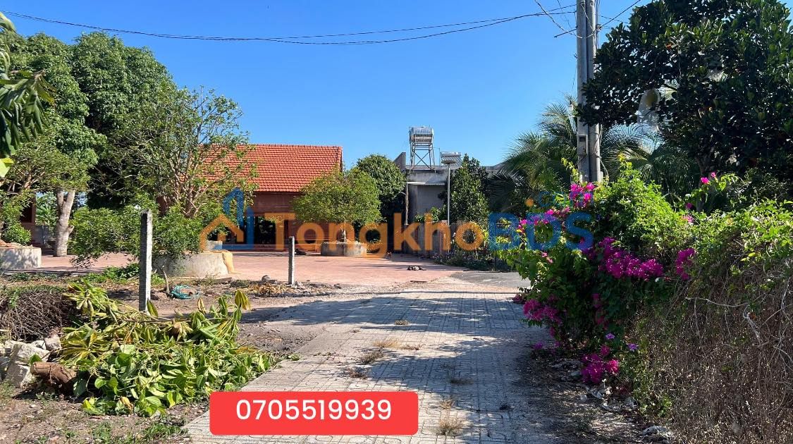 Đất nền Hòa Hội Xuyên Mộc 2800m² 2 tỷ - Tiềm năng tăng giá