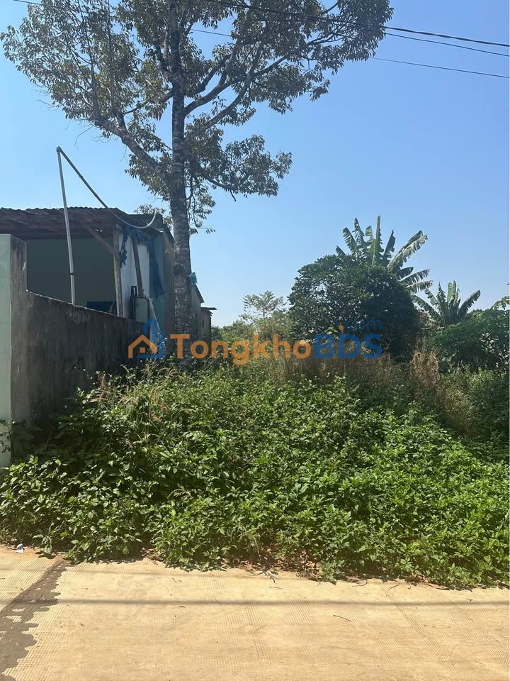 Nhà Hẻm Nguyễn Trung Trực Pleiku 100m² - Sẵn Sàng Xây Dựng