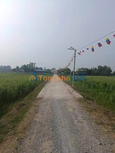 Đất nền Sa Nghe Hảo Được 180m² 230tr - Sổ đỏ chính chủ