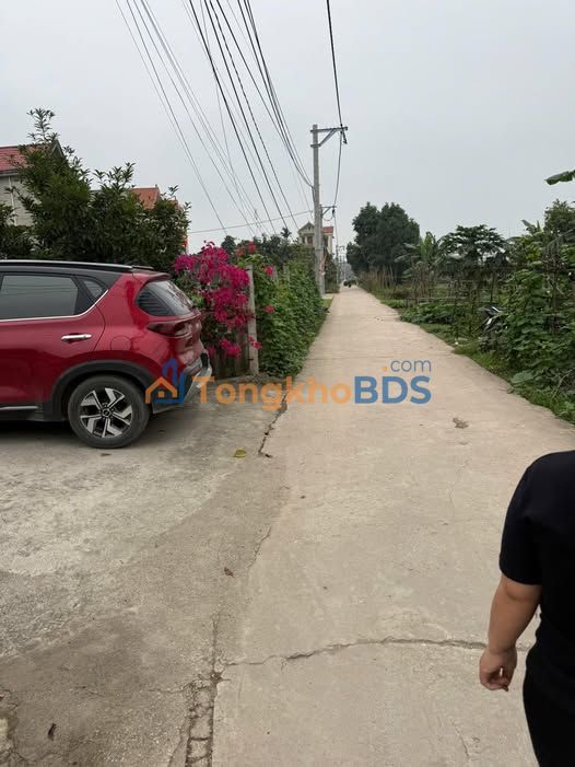 Bán đất nở hậu 80m² Phú Xuyên, Thường Tín - Oto vào tận nhà