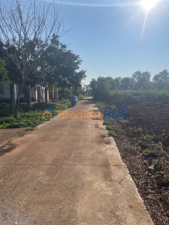 Bán Đất Liền Kề Hẻm Trương Định, Pleiku 200m² - Giá Tốt Đầu Tư