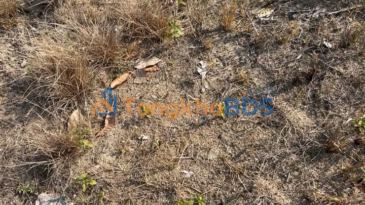 Đất nền Ia Tul Ia Pa 4ha 550 triệu - Đường to ô tô