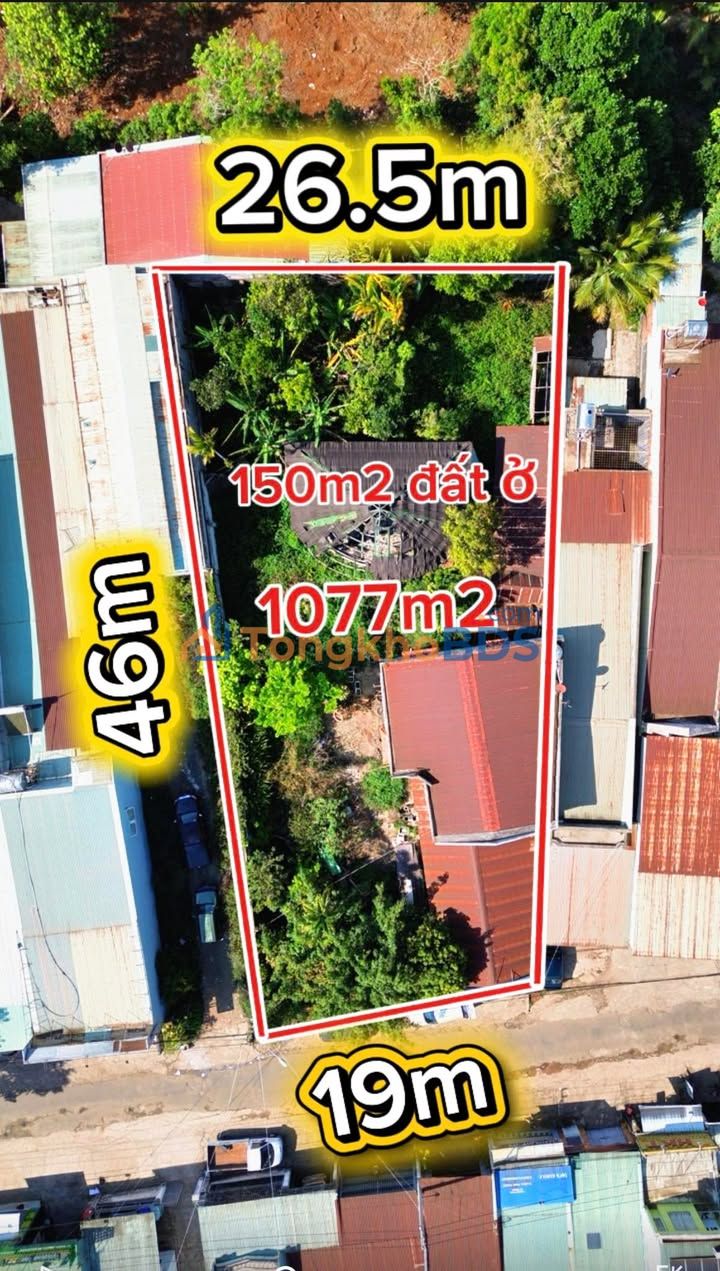 Đất Chu Mạnh Chinh Pleiku 1.077m² 11.5 tỷ - Đường to ô tô