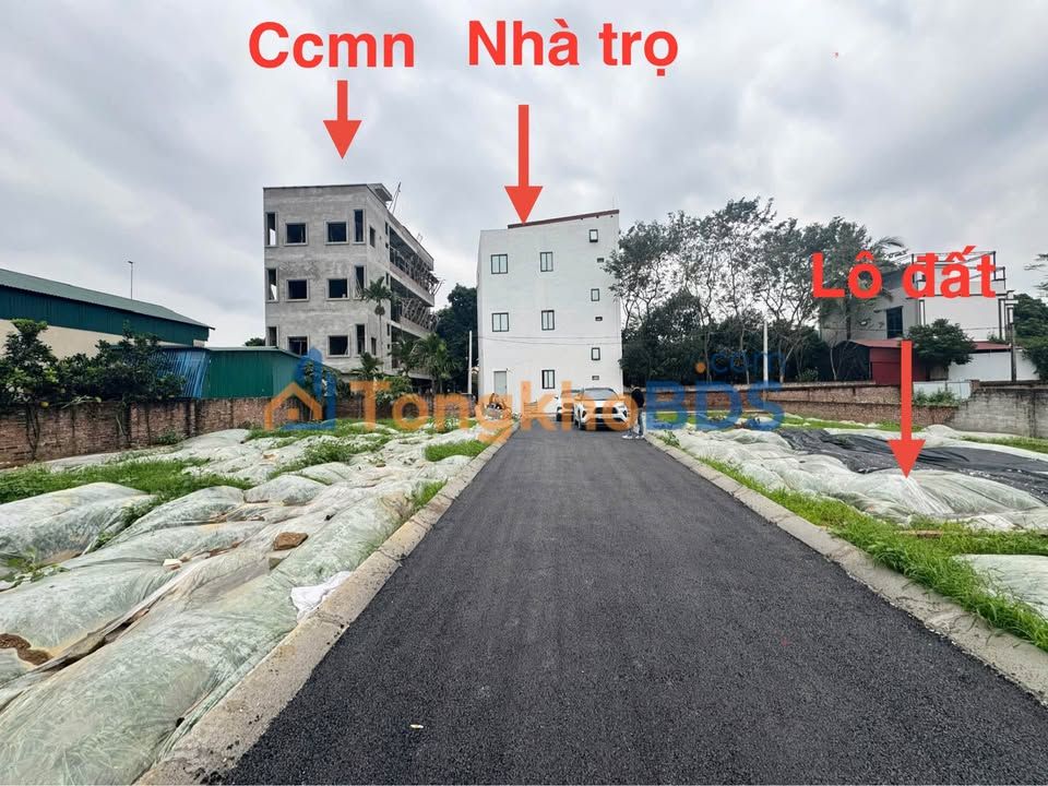 Đất nền Thôn 8 Hòa Lạc 100m² - Sổ đỏ chính chủ