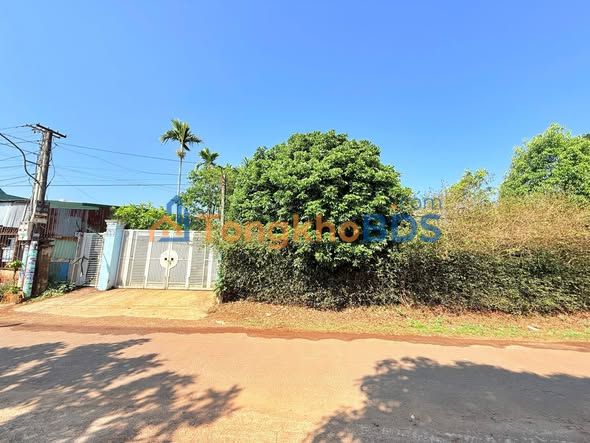 Đất An Dương Vương Pleiku 100m² 1,7 tỷ - Xây dựng tự do