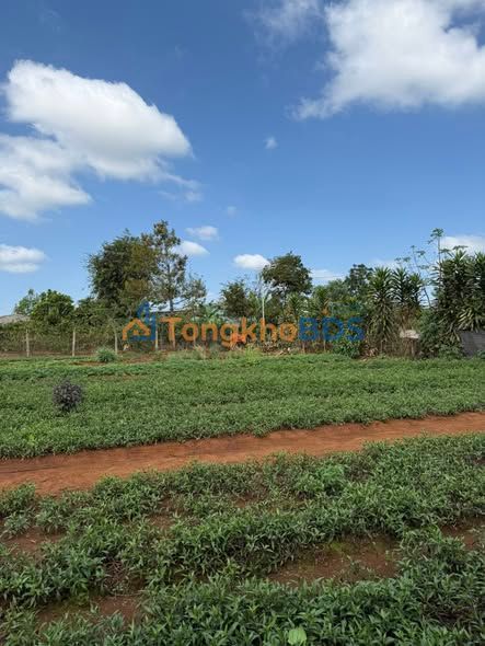 Đất nền Tú Xương Plei Ku 240m² 38.88 tỷ - Tiềm năng tăng giá