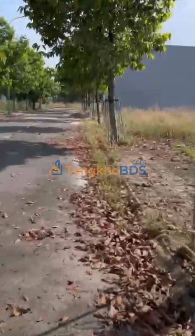 Đất nền Dự án Trung Quân, Hiệp Bình Chánh 70m² giá 700 triệu - Giá tốt hiếm có