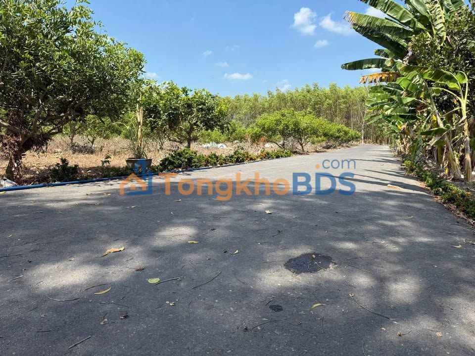 Đất nền Hòa Hội Xuyên Mộc 2.735m² - Sổ đỏ chính chủ