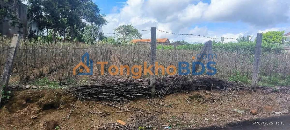 Đất nền Bảo Lộc 350m² mặt tiền Nguyễn Tri Phương, P3 - Giá 2.5 tỷ/lô