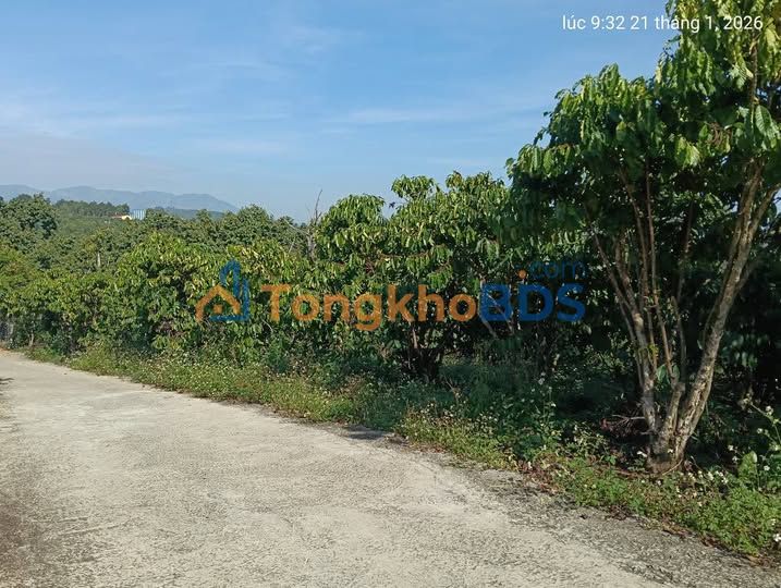 Bán Đất Vườn 2160m² Bảo Lâm - Mặt Tiền 50m Đường Bê Tông, Giá 1.45 Tỷ