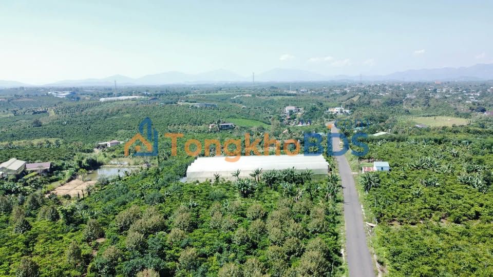 Đất Nền Bảo Lâm 10.756m² - Mặt Tiền 86m Đường Nhánh, Lộc An - Giá 15 Tỷ