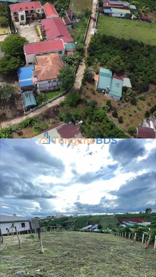 Đất Hẻm Lý Thái Tổ, Bảo Lộc - 882m² Sổ Thổ Cư, Giá 2.65 Tỷ