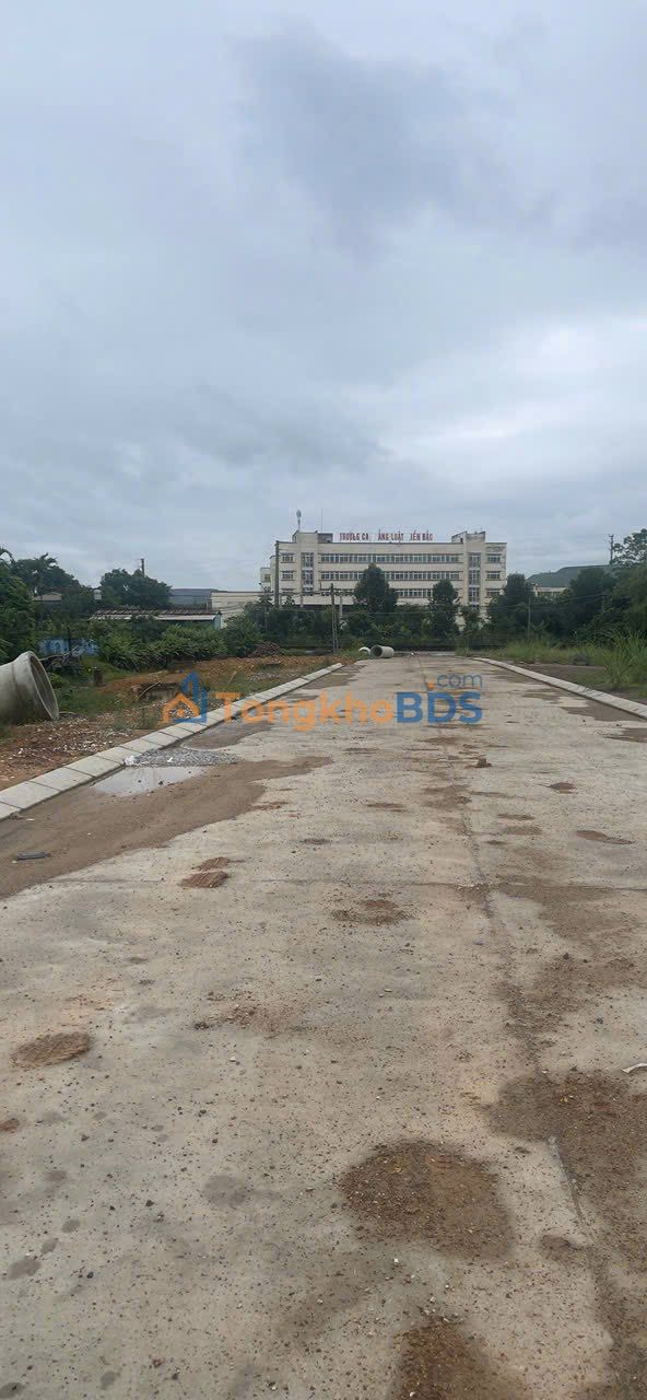 Đất Tái Định Cư Trung Thành 2, Phổ Yên 160m² - Sổ Đỏ Full Thổ Cư