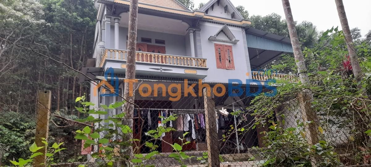 Trang trại Lăng Quán Yên Sơn 1,2ha - Đầu tư dài hạn