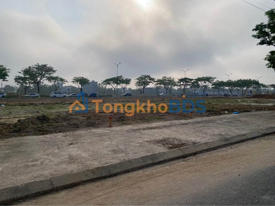 Đất Nền Phạm Đình Bân, Tam Kỳ 100m² - Sẵn Sàng An Cư/Đầu Tư