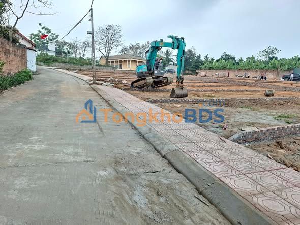 Đất thổ cư Tam Dương 80m² - Giá F0 chỉ nhỉnh 800 triệu - Sổ đỏ sẵn sàng