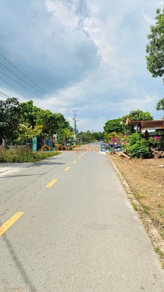 Bán Đất MT Nhựa Đinh Công Tráng Tân Phú 975m² Hướng Tây