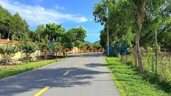 Đất Nền Phước Hải 1186m² - View Núi Minh Đạm, Gần Biển, Giá Đầu Tư 4.2 Tỷ