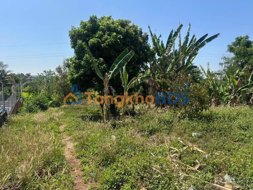 Đất Vườn Eatam 600m² - View Ruộng Thoáng Đãng, Giá 2.69 Tỷ