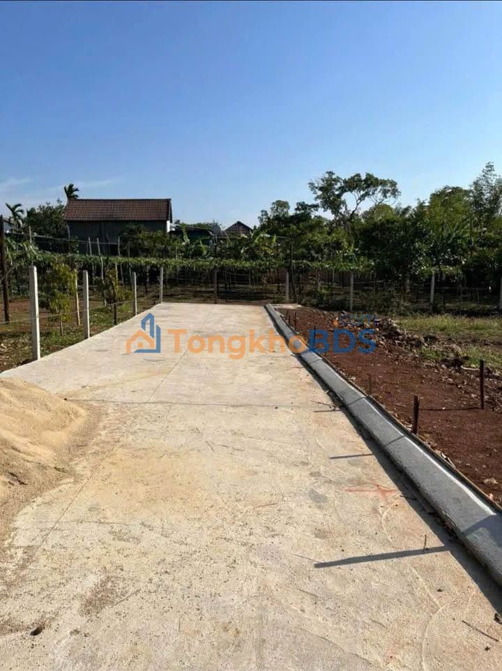 Đất nền góc 125m² Buôn Ma Thuột - Sổ hồng riêng, giá 980 triệu