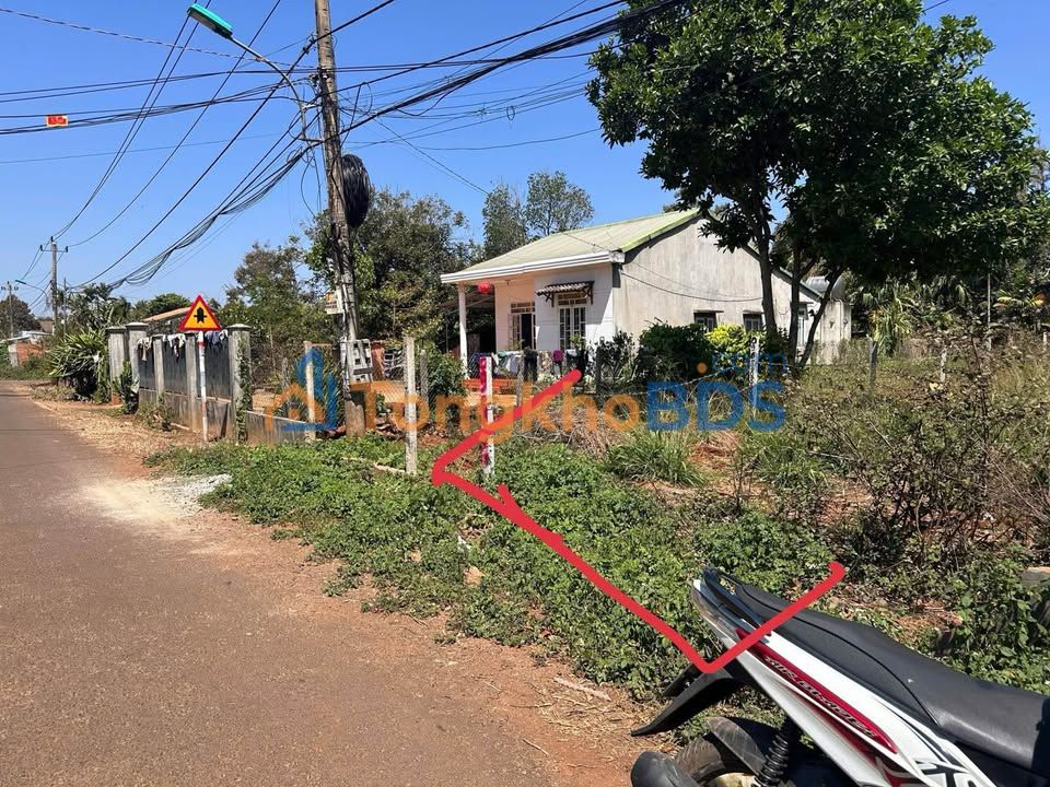 Đất Nền 250m² Xã Hòa Thắng, Phú Yên - Giá Đầu Tư 1.39 Tỷ