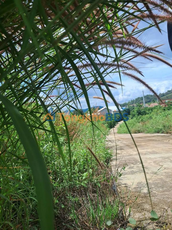 Đất nền Nam Ban 230m² 539 triệu - Tiềm năng tăng giá