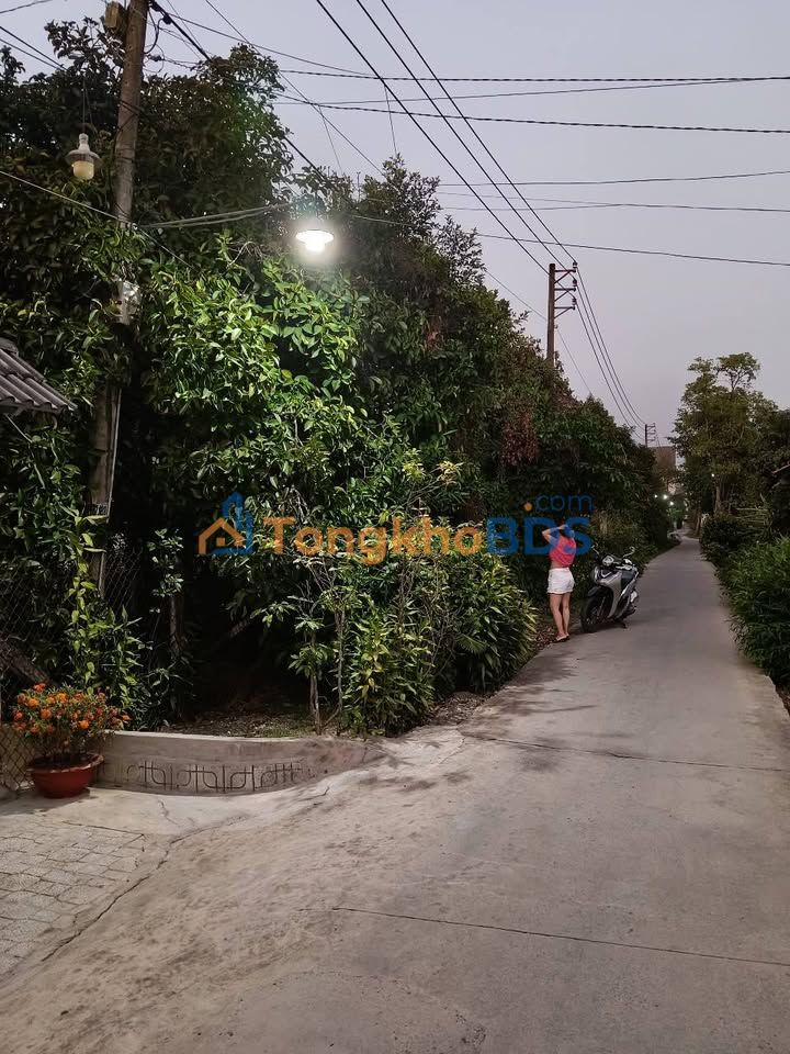 Đất nền Bình Mỹ Củ Chi 300m² 3.55 tỷ - Tiềm năng tăng giá