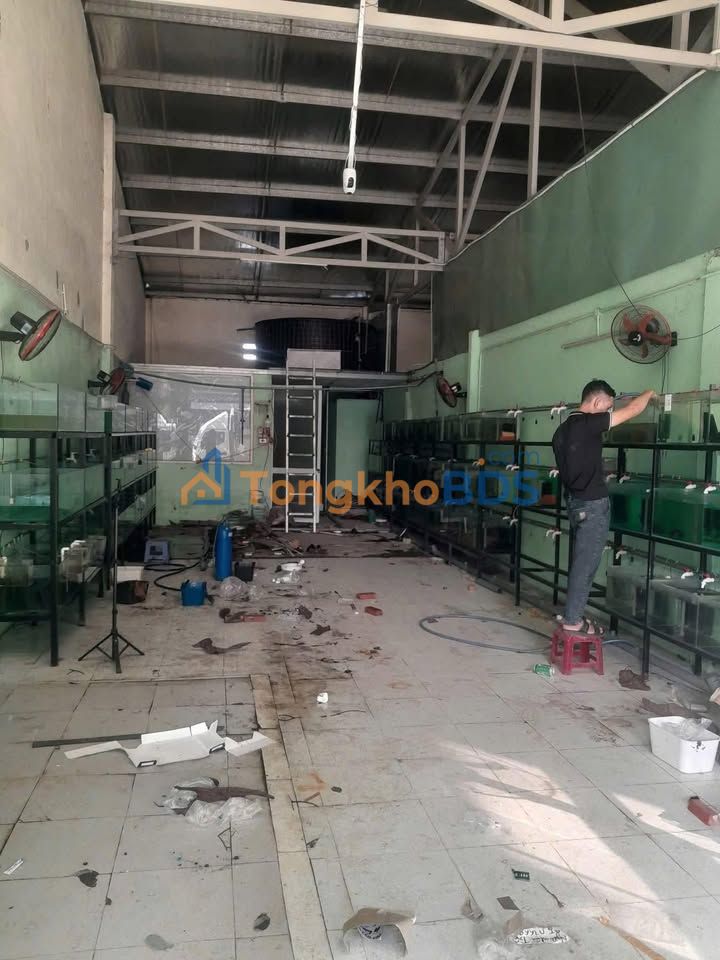 Kho xuong Bui Tan Dien Duy Xuyen 100m2 7tr - Hoat dong ngay