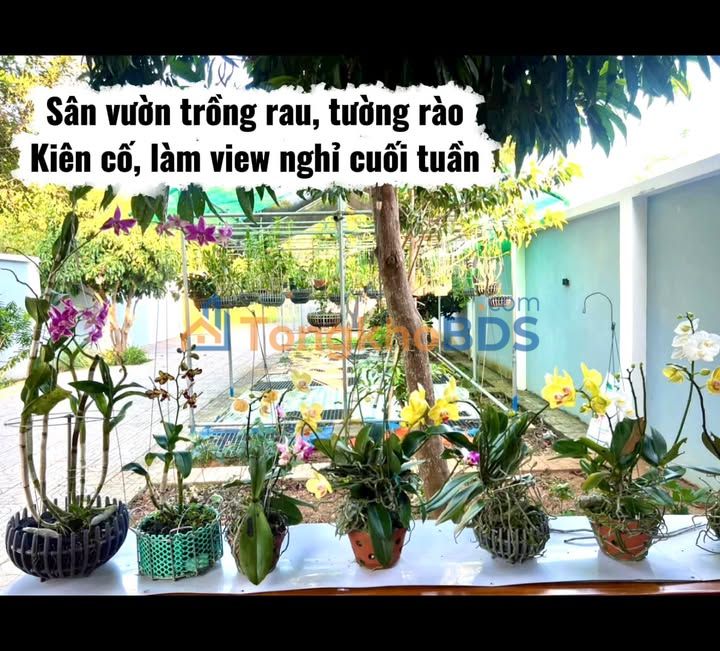 Nhà vườn 500m² Hoà Long, Bà Rịa - Giá Ngộp 4 Tỷ, Sẵn Sổ Hồng