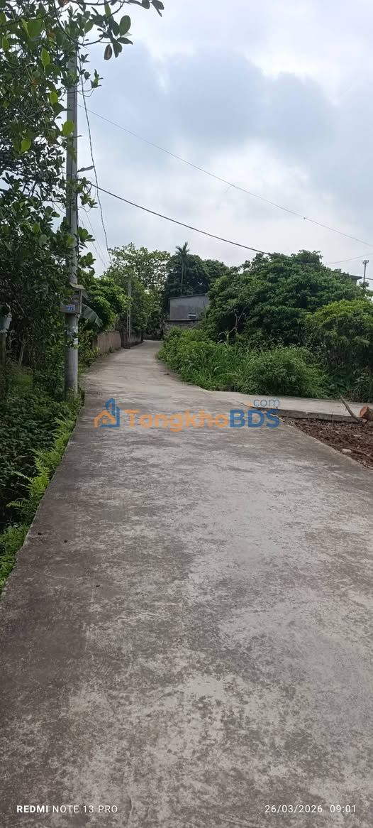 Đất Thanh Lang Thanh Hà 100m² 500-699 triệu - Đường to ô tô