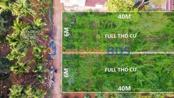 Bán Gấp 2 Lô Đất Liền Kề Thôn 1 Hòa Tiến, Tuy Hòa - 240m² Full Thổ Cư