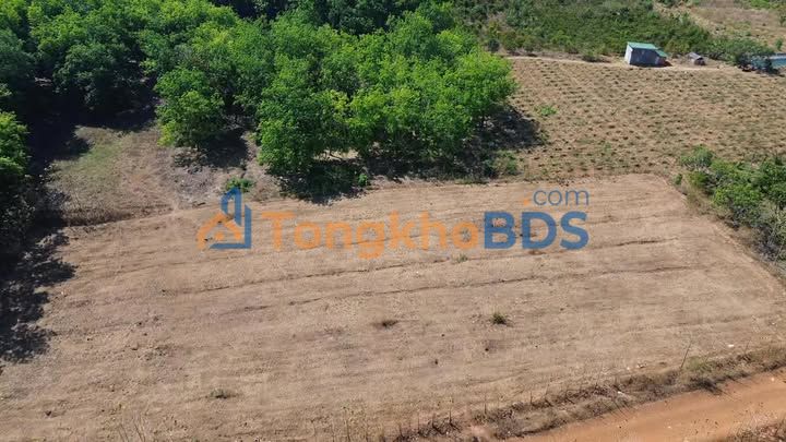 Đất rẫy Gia Lâm 8.139m2 giá 690 triệu - Sổ đỏ chính chủ