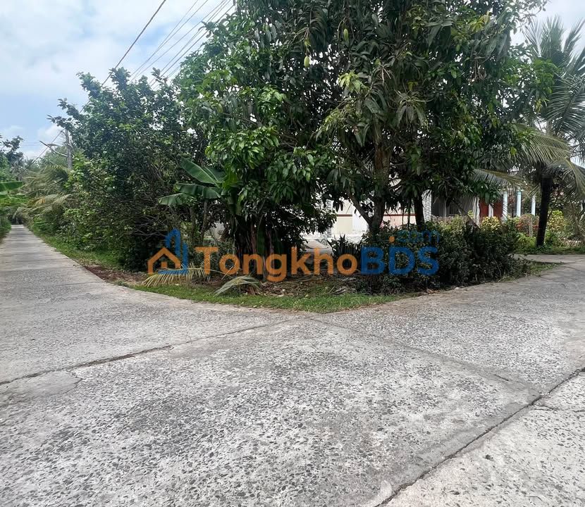 Đất Tặng Nhà Mặt Tiền 351.5m² Phú Túc, Châu Thành - Giá 950 Triệu