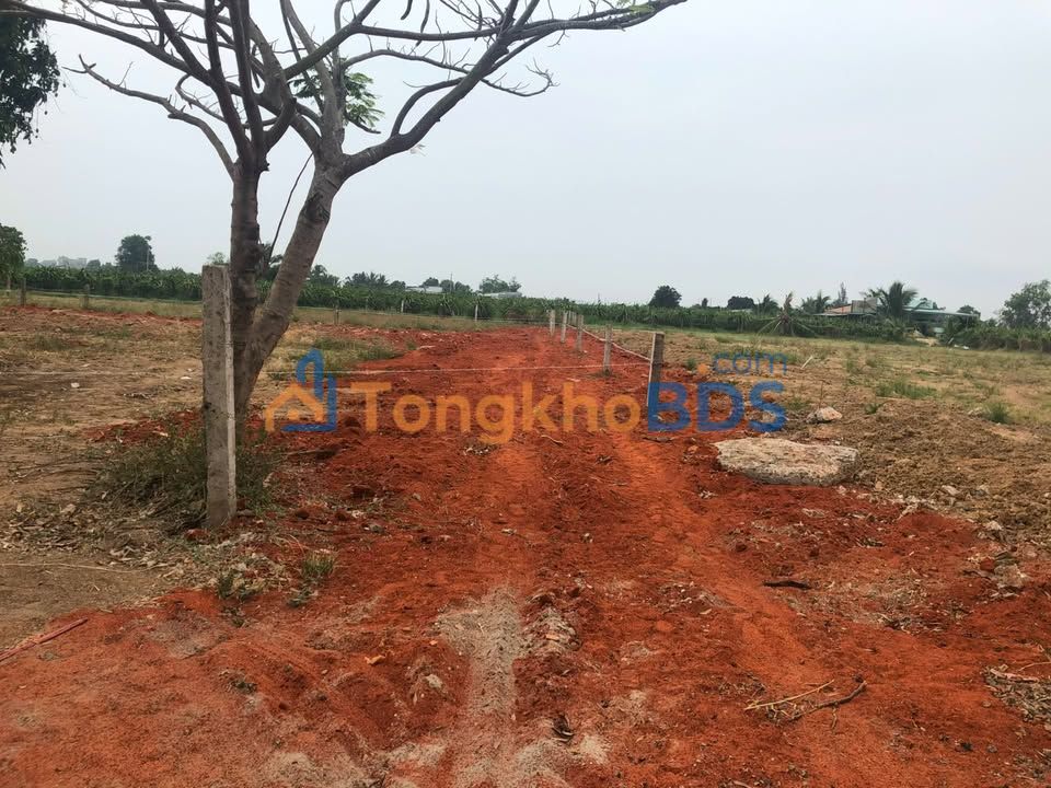 Đất nền Hàm Chính 720m² 800-998 triệu - Sổ đỏ