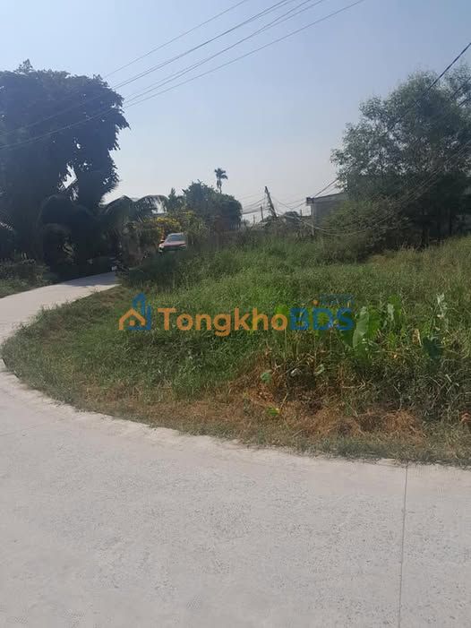 Đất nền Đức Hòa Đông 155m² 1.65 tỷ - Sổ đỏ chính chủ