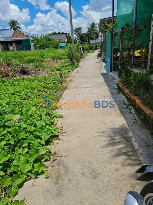 Đất Nguyễn Quang Đại Tân An 95m² 800 triệu - Sổ đỏ chính chủ