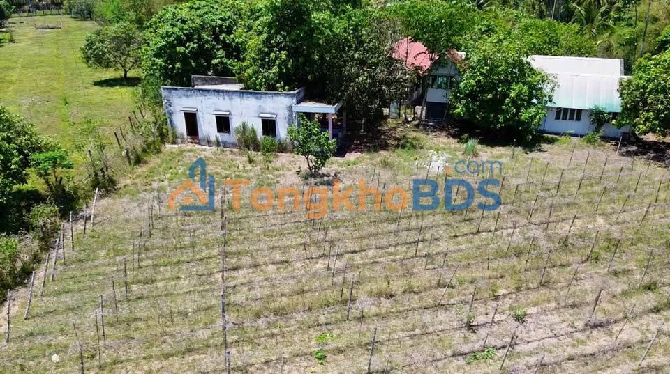 Đất vườn Định Quán 20000m² 6.5 tỷ - Sinh thái xanh