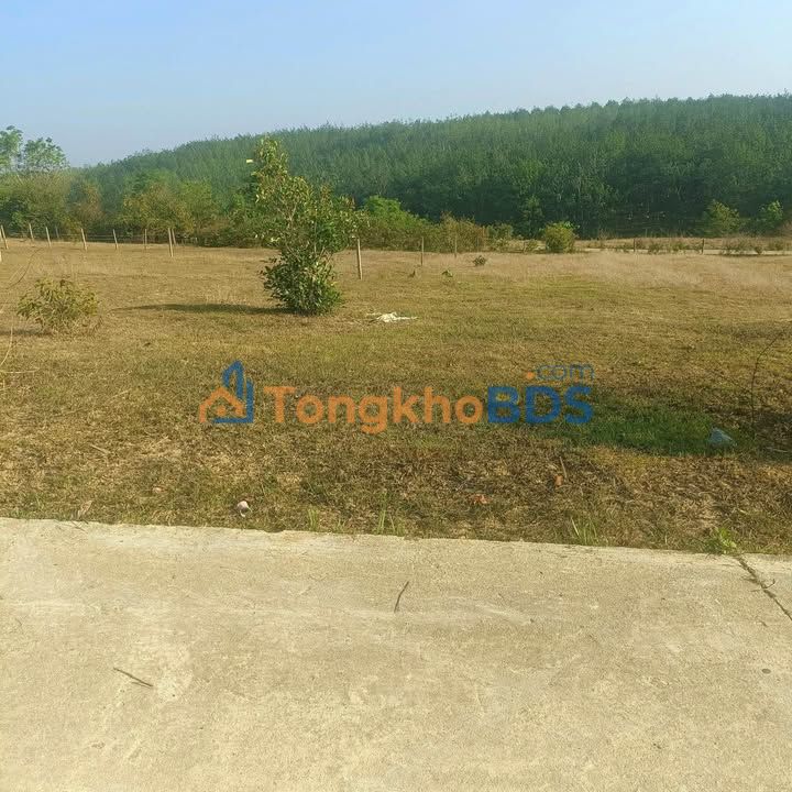 Đất Vàng Xã Ngọc Bay, Kon Tum - 918m² Mặt Đường Bê Tông, Giá Tốt