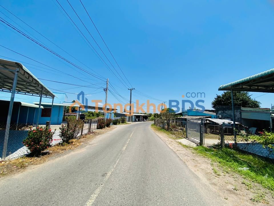 Đất nền Phước Hội 1.034m² 4.5 tỷ - Sổ đỏ chính chủ