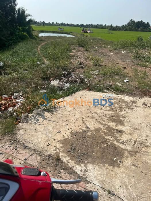 Đất nền Mỹ An Thủ Thừa 1.400m² giá 4.2 tỷ - Đường to ô tô